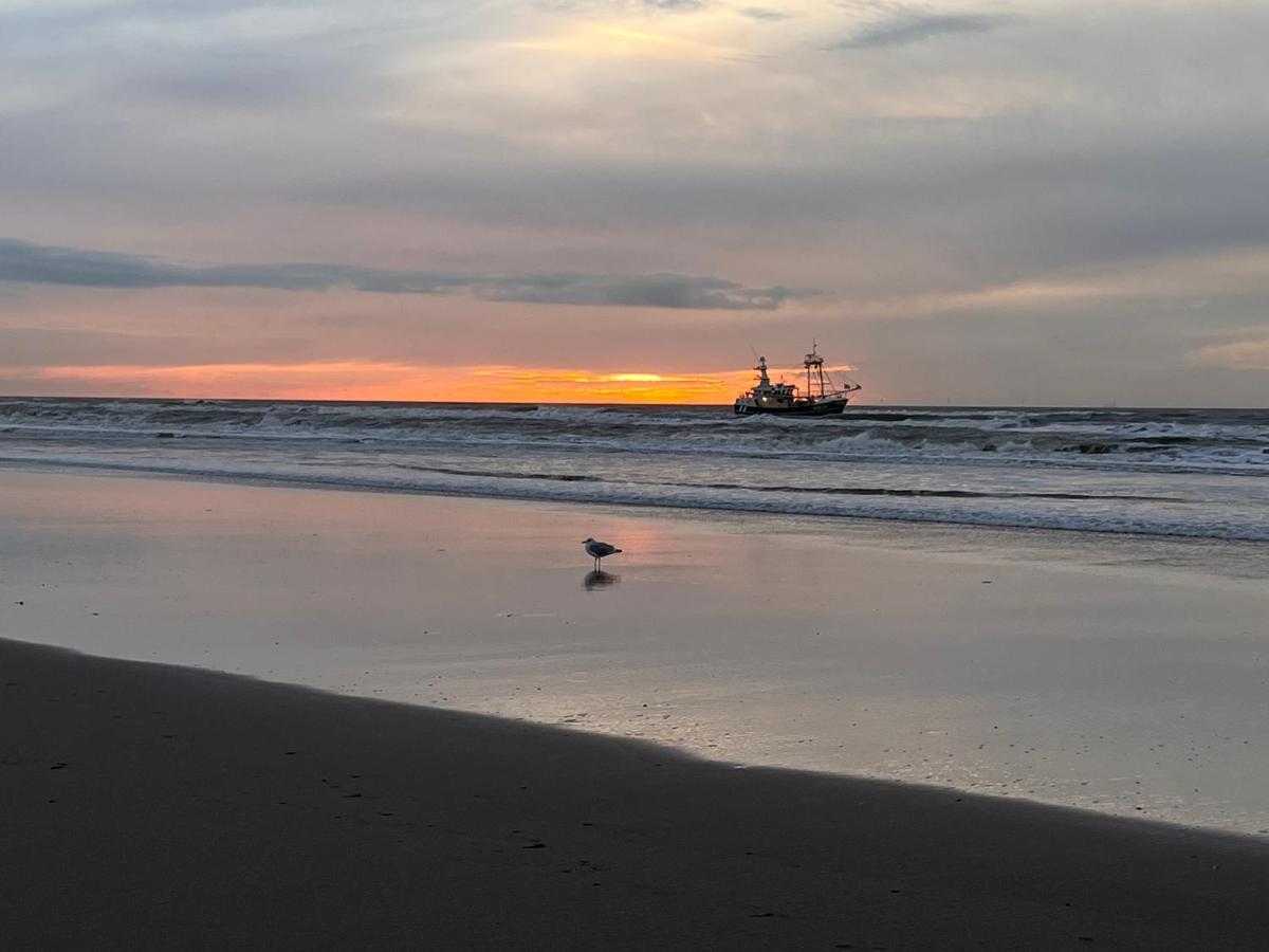 @54 Daire Zandvoort Dış mekan fotoğraf
