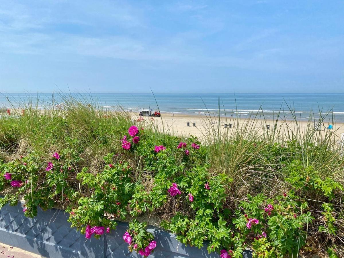 @54 Daire Zandvoort Dış mekan fotoğraf